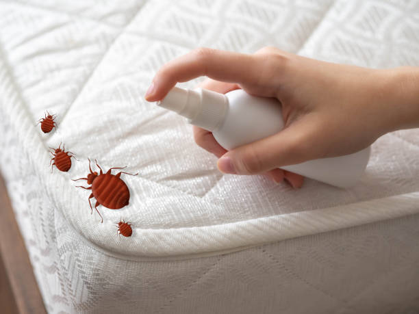 Best Bed Bug Extermination  in Sheffield Lake, OH